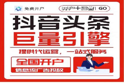 专业sem托管服务案例，揭秘广告投放优化策略